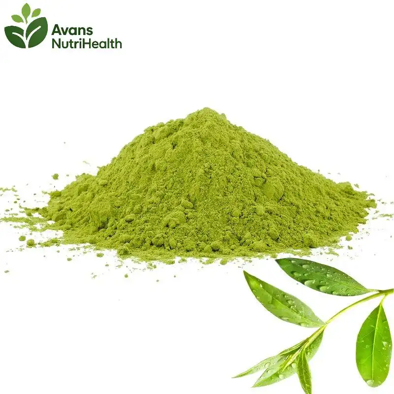 Green Tea Leaf Extract Powder